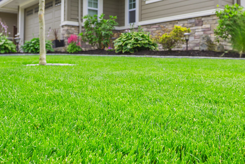 Millbury Lawn Care